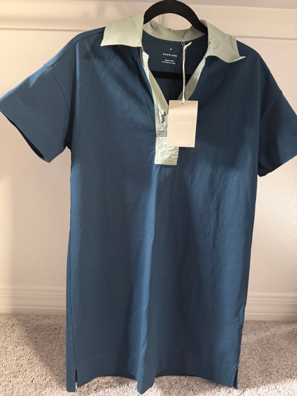 Everlane Blue Polo Dress with Mint Collar